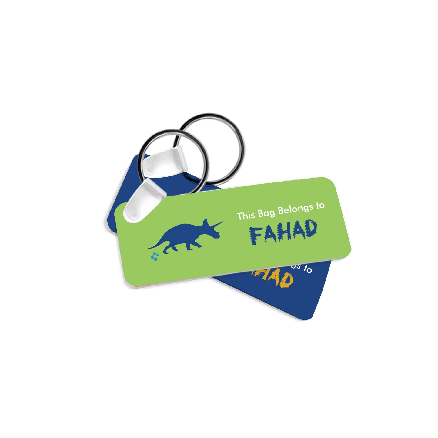 Dinosaur Travel Tags D02