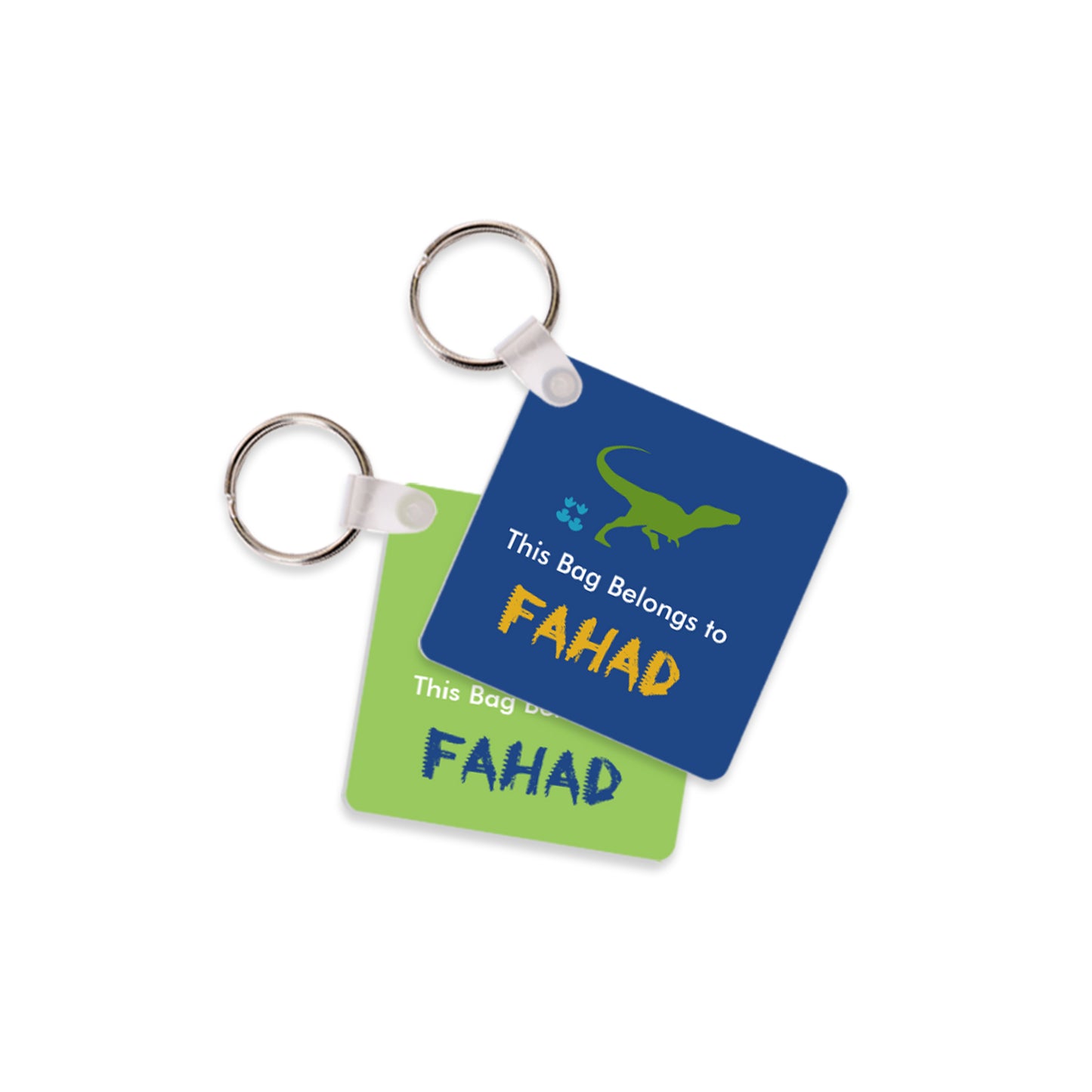 Dinosaur Travel Tags D02