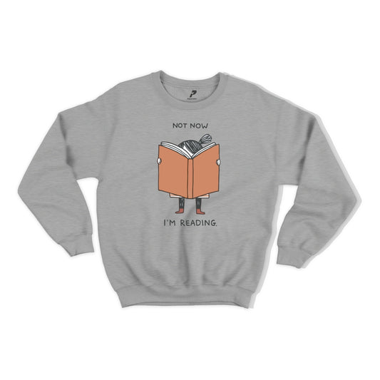 Reading Sweatshirt D03